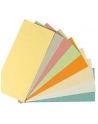 Herlitz separator sheets 0 100 pcs. - nr 7