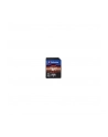 Verbatim 256 GB SDXC, memory card (black, UHS-I U1, Class 10) - nr 7