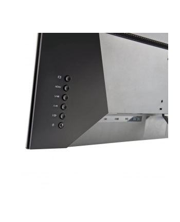 Hannspree HS 329 PQR - 31.5 - LED (silver, QHD, AD-IPS, HDMI, DisplayPort) nr 1