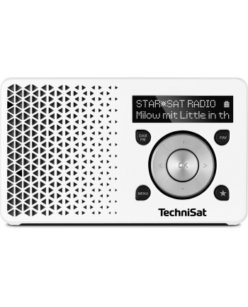 TechniSat DIGITRADIO 1 white / silver