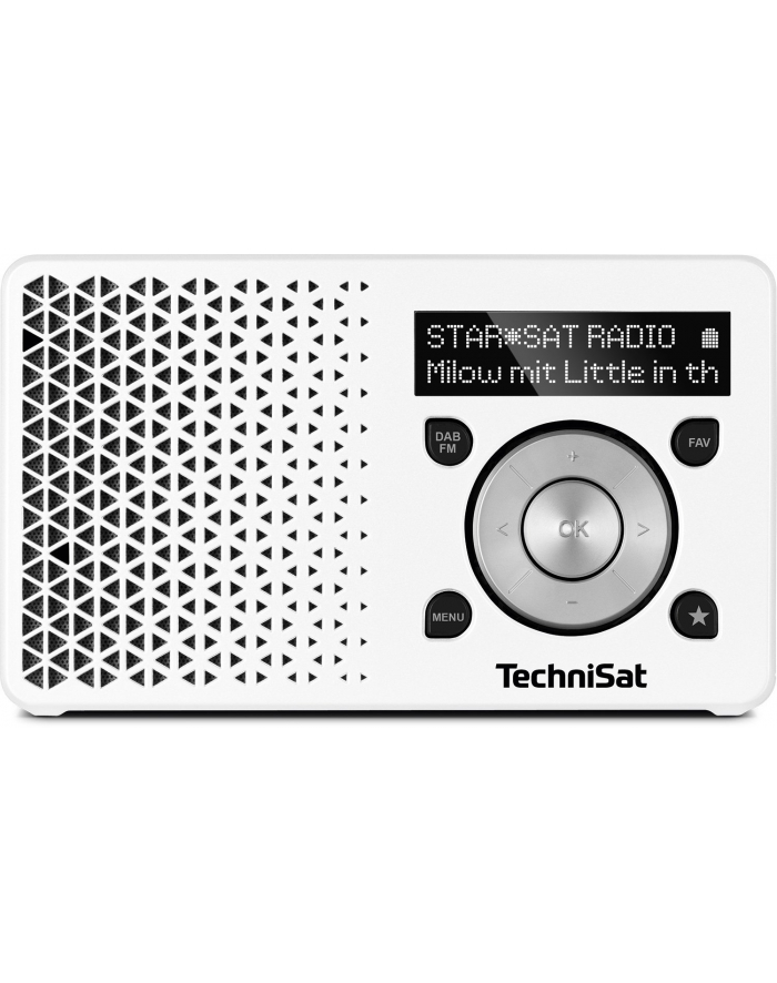 TechniSat DIGITRADIO 1 white / silver główny