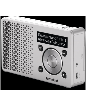 TechniSat DIGITRADIO 1 silver nr 2