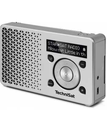 TechniSat DIGITRADIO 1 silver