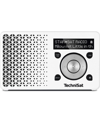 TechniSat DIGITRADIO 1 white / silver nr 2