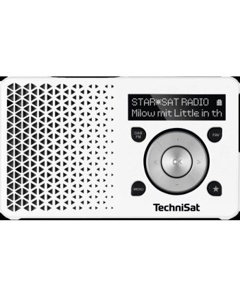 TechniSat DIGITRADIO 1 white / silver nr 1