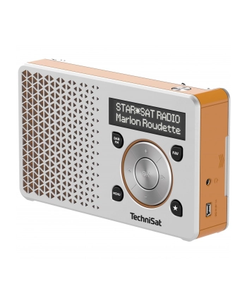 TechniSat DIGITRADIO 1 silver / orange nr 2