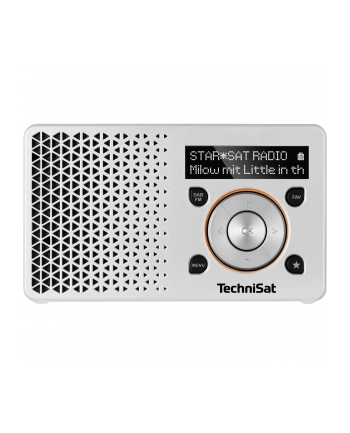 TechniSat DIGITRADIO 1 silver / orange nr 1