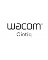 Wacom Cintiq 22, Graphics Tablet (Black) - nr 45