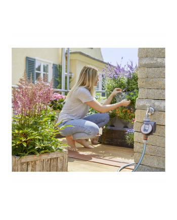 GARDENA Irrigation Control Flex (anthracite / gray)