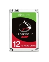 seagate Dysk Iron Wolf 12TB 3,5'' ST12000VN0008 - nr 10