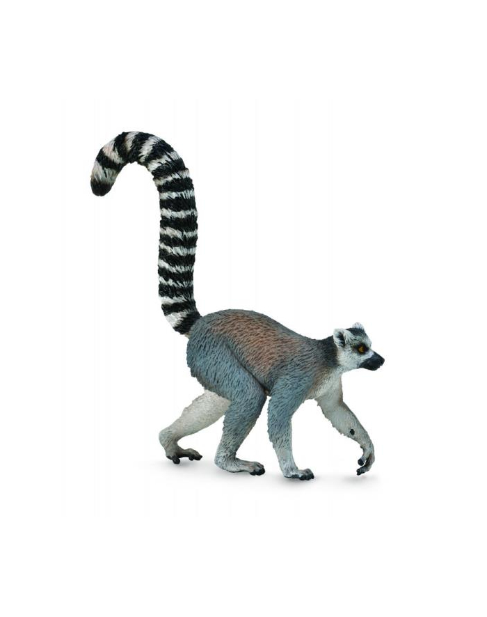 Lemur ogoniasty 88831 COLLECTA główny