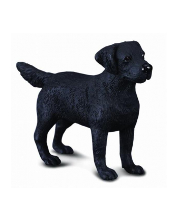 collecta Pies Labrador 88076