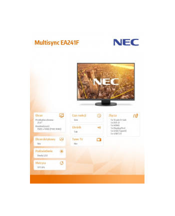 nec Monitor Multisync EA241F IPS DP HDMI czarny 1920x1080 250cd/m2