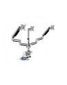 ICY BOX IB-MS505-TI, bracket (silver / black) - nr 35