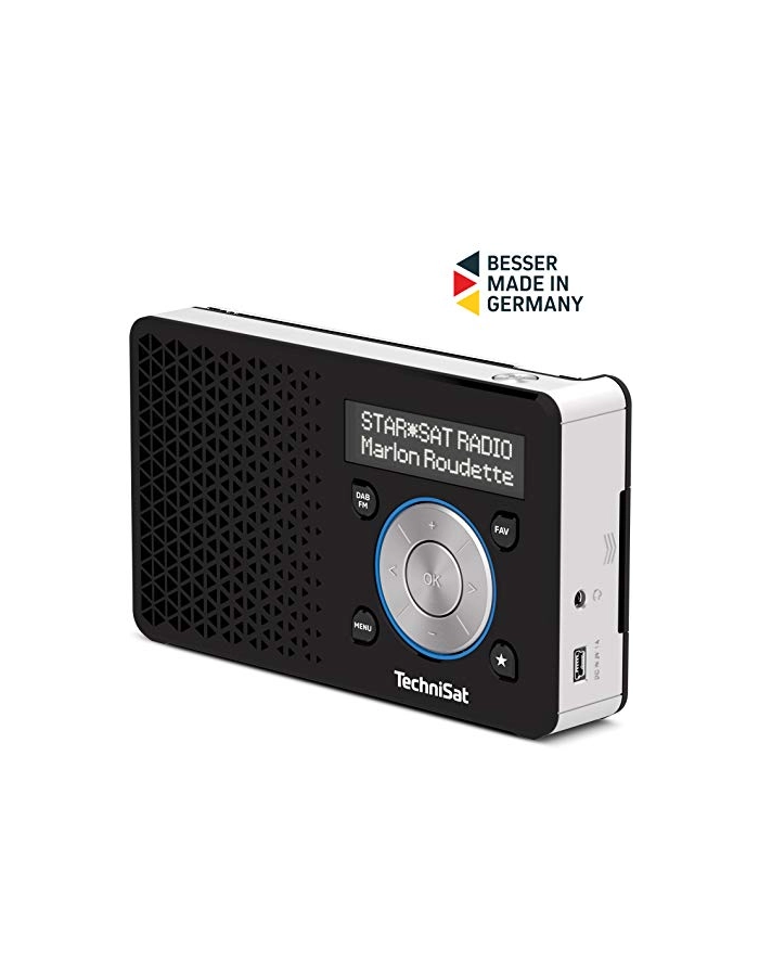 TechniSat DIGITRADIO 1 S (black / silver, FM, DAB / DAB +, RDS) główny