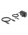 DeLOCK USB-C 3.1 DS f.2xSATA HDD / SSD - w. Clone function - nr 20