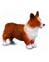 Pies Welsh Corgi 88082 COLLECTA - nr 1