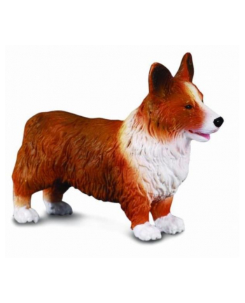 Pies Welsh Corgi 88082 COLLECTA