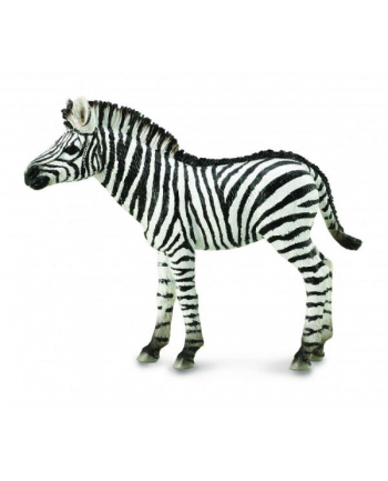 Zebra źrebię 88850 COLLECTA