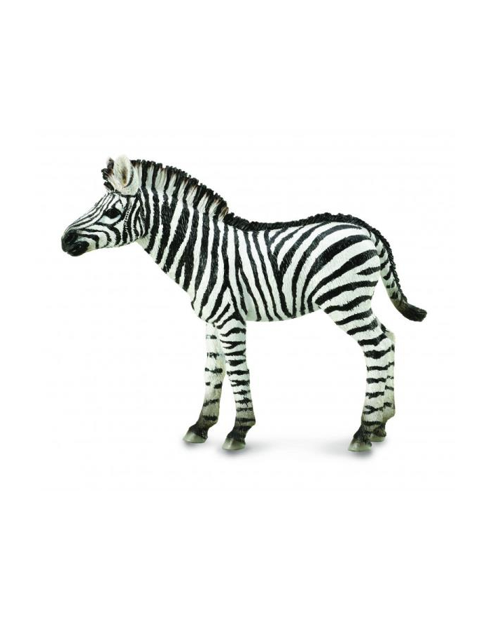 Zebra źrebię 88850 COLLECTA główny