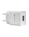 Ładowarka sieciowa everActive SC-200 (USB; kolor biały) - nr 1