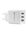 Ładowarka sieciowa everActive SC-300 (USB; kolor biały) - nr 6