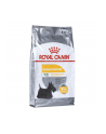 Karma Royal Canin CCN Mini Dermacomfort (8 kg ) - nr 1