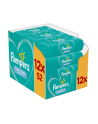 Zestaw chusteczek Pampers Chusteczki Pampers FreshClean12x52 (52) - nr 2