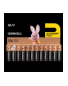 duracell Baterie Basic AA/LR6 12szt blister - nr 3