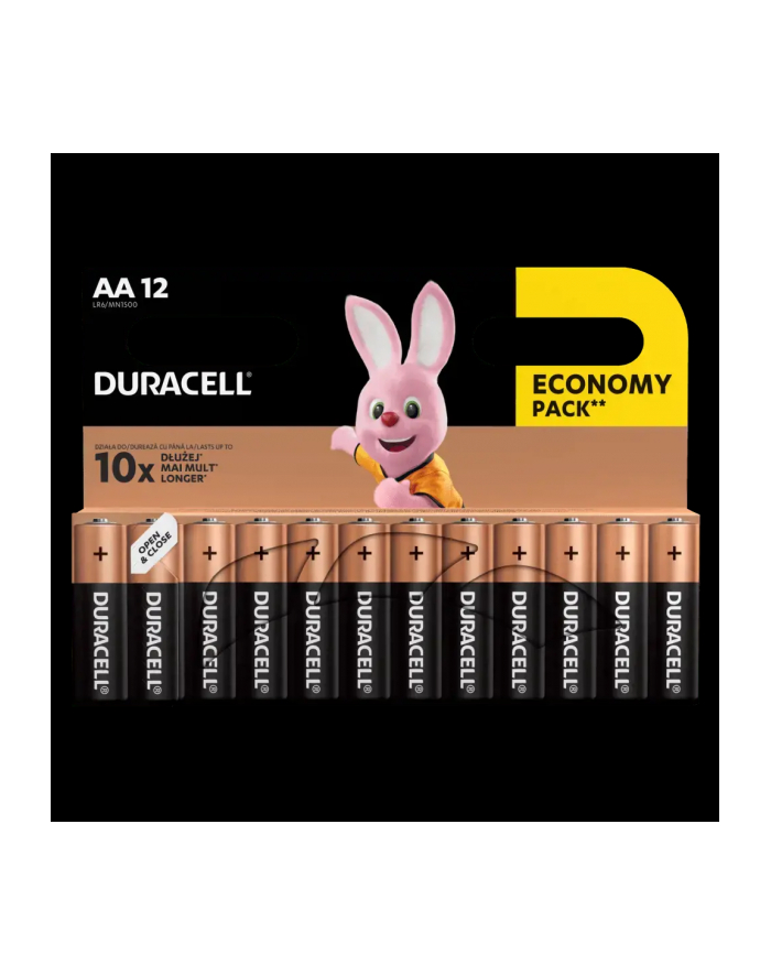 duracell Baterie Basic AA/LR6 12szt blister główny