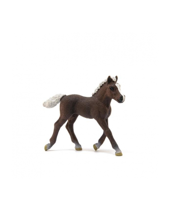 Schleich 13899 Koń szwedzki źrebię