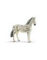 Schleich 13910 Koń Knabstrupper klacz - nr 1