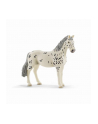 Schleich 13910 Koń Knabstrupper klacz - nr 2