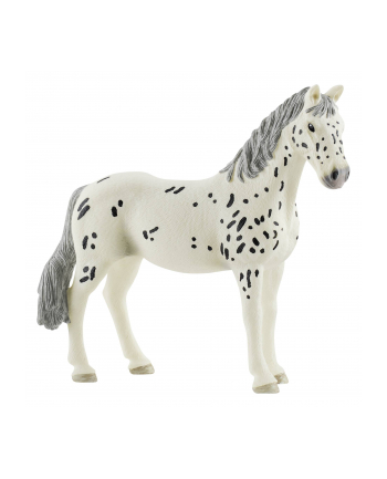 Schleich 13910 Koń Knabstrupper klacz