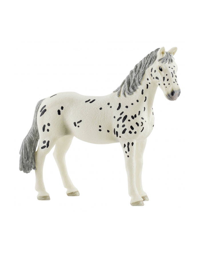 Schleich 13910 Koń Knabstrupper klacz główny