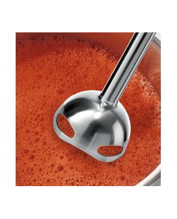 Bosch ErgoMixx MS6CB61V1, stick blender (black / red, vacuum cling System)
