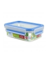 Emsa Clip & Close plastic box (transparent / blue, 0.55 liter, classical format) - nr 1