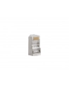 Wtyk sieciowy RJ45 PLS-6000EZ KAT. 6 FTP (100 sztuk) - nr 12