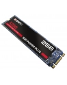 Emtec X250 SSD Power Plus 256 GB Solid State Drive (SATA 6 GB / s, M.2) - nr 10