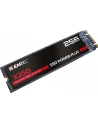 Emtec X250 SSD Power Plus 256 GB Solid State Drive (SATA 6 GB / s, M.2) - nr 12