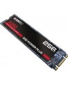 Emtec X250 SSD Power Plus 256 GB Solid State Drive (SATA 6 GB / s, M.2) - nr 13