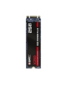 Emtec X250 SSD Power Plus 256 GB Solid State Drive (SATA 6 GB / s, M.2) - nr 7