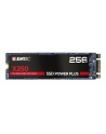 Emtec X250 SSD Power Plus 256 GB Solid State Drive (SATA 6 GB / s, M.2) - nr 9