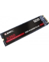 Emtec X250 SSD Power Plus 128 GB Solid State Drive (SATA 6 GB / s, M.2) - nr 12