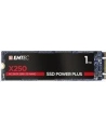 Emtec X250 SSD Power Plus 1TB Solid State Drive (SATA 6 GB / s, M.2) - nr 21