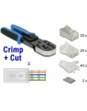 DeLOCK RJ45 Crimp + Cut tool set - nr 24