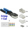 DeLOCK RJ45 Crimp + Cut tool set - nr 28