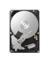 toshiba Dysk twardy HDD P300 4TB 3.5cala S3 5400rpm 128MB bulk - nr 9