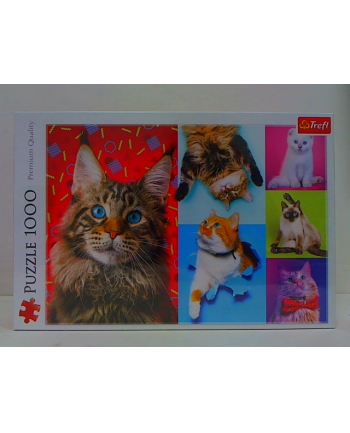 trefl Puzzle 1000 Wesołe koty 10591