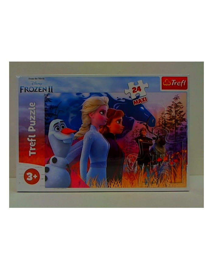 trefl PUZZLE MAXI 24 Magiczna wyprawa/Disn Frozen2 14298 główny